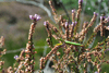 dsc_0004.jpg