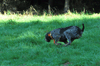 dsc_0002.jpg