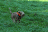 dsc_0004.jpg