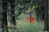dsc_0009.jpg