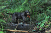dsc_0007.jpg