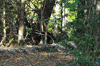 dsc_0010.jpg