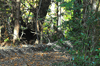 dsc_0011.jpg
