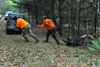 dsc_0005.jpg