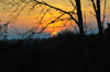 dsc_0006.jpg