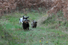 dsc_0008.jpg