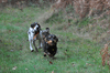 dsc_0009.jpg
