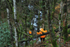 dsc_0002.jpg