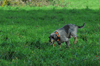 dsc_0001.jpg