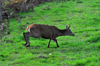 dsc_0007.jpg
