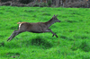 dsc_0008.jpg