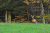 dsc_0011.jpg