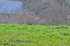dsc_0013.jpg