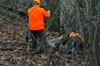 dsc_0014.jpg