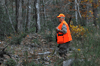 dsc_0015.jpg