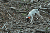 dsc_0016.jpg