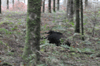 dsc_0004.jpg