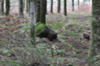 dsc_0005.jpg