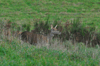 dsc_0016.jpg