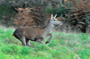 dsc_0019.jpg