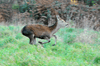 dsc_0020.jpg