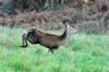 dsc_0021.jpg