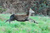 dsc_0022.jpg