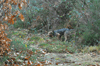 dsc_0004.jpg