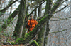 dsc_0006.jpg
