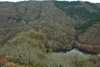 dsc_0003.jpg