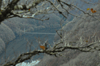 dsc_0008.jpg