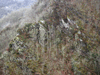 dsc_0005.jpg