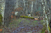 dsc_0006.jpg