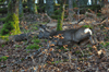 dsc_0014.jpg
