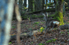 dsc_0015.jpg