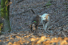 dsc_0016.jpg