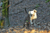 dsc_0017.jpg