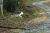 dsc_0003.jpg