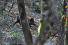 dsc_0028.jpg