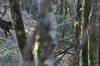 dsc_0030.jpg