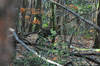 dsc_0031.jpg