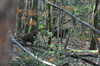 dsc_0032.jpg