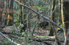 dsc_0033.jpg