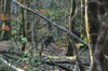 dsc_0034.jpg