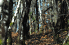 dsc_0040.jpg