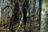 dsc_0041.jpg