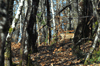 dsc_0043.jpg