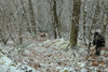 dsc_0008.jpg