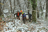 dsc_0012.jpg