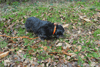 dsc_0016.jpg